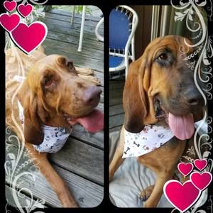 Meet your Posher, Becky